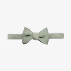 Birdy Grey Bow tie and pocket square - pistachio green